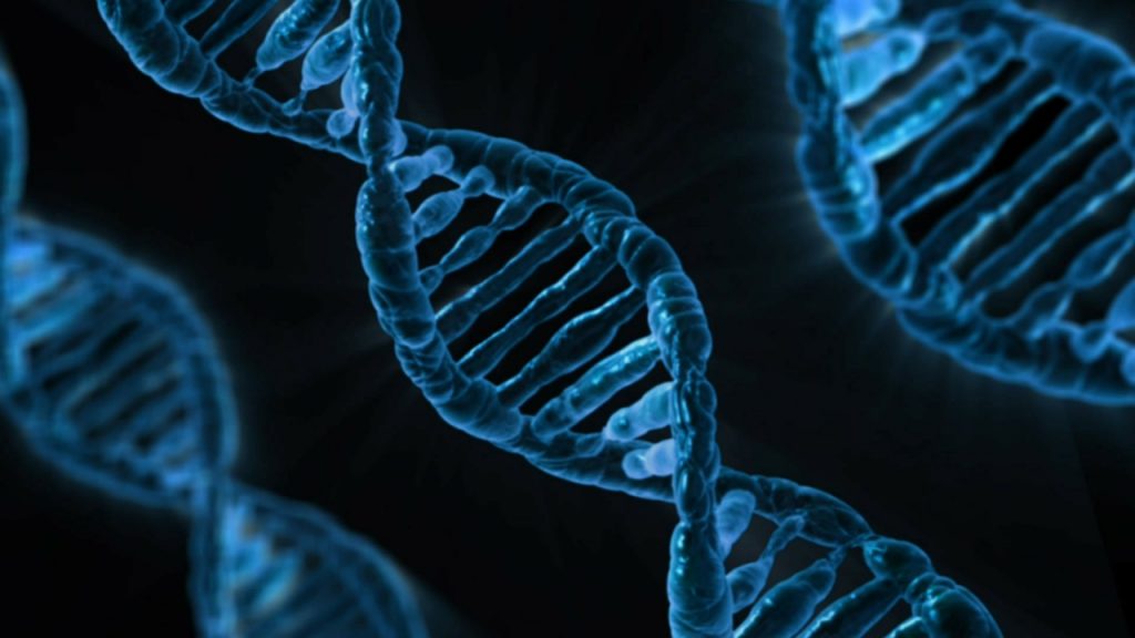 DNA-ADN