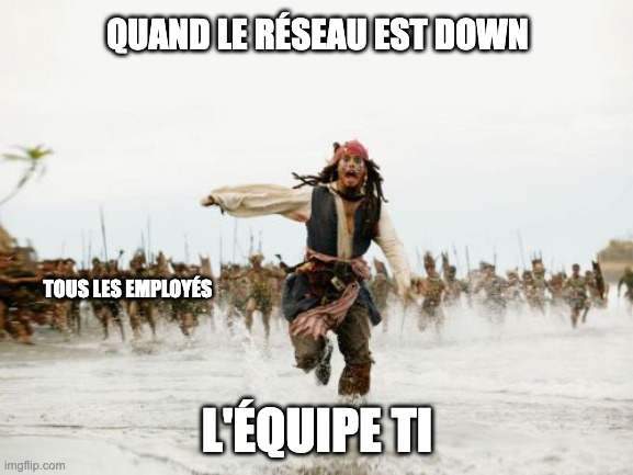 meme_sparrow